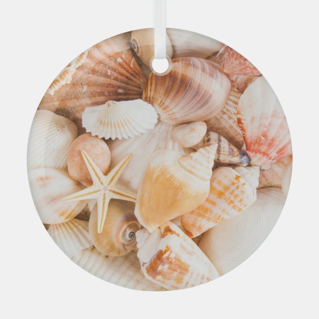 Seashells background: marine theme. glass tree decoration (Front)