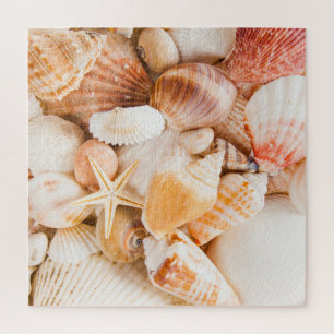 Seashells background: marine theme. jigsaw puzzle