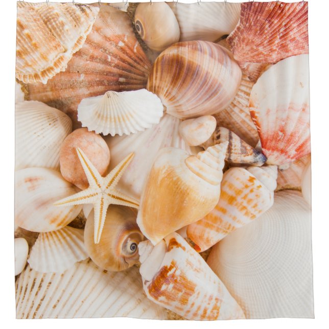 Seashells background: marine theme. shower curtain (Front)