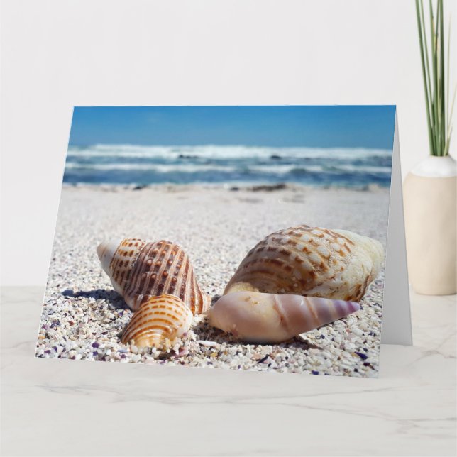 SEASHELLS BEACH TROPICAL BIRTHDAY GREETING CARD (Front)