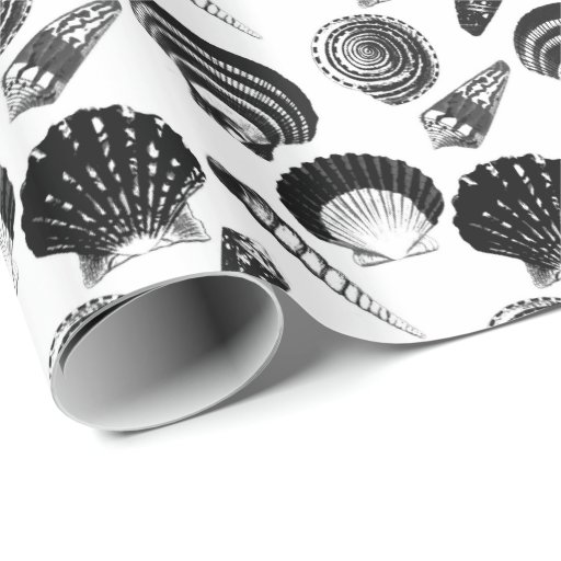 Image of Seashells - black and white on a white background Wrapping Paper