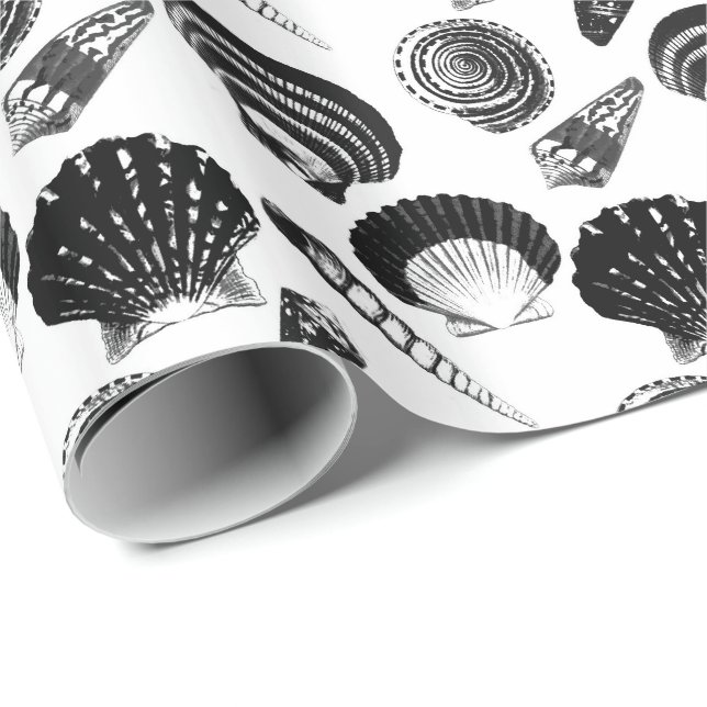 Seashells - black and white on a white background wrapping paper (Roll Corner)
