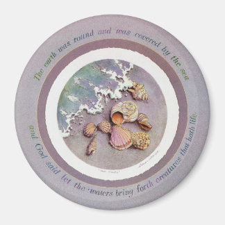 SEASHELLS by THE SEASHORE by SHARON SHARPE Magnet