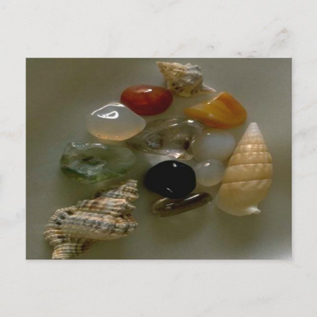 Seashells by the Seashore- Postcard (Front)