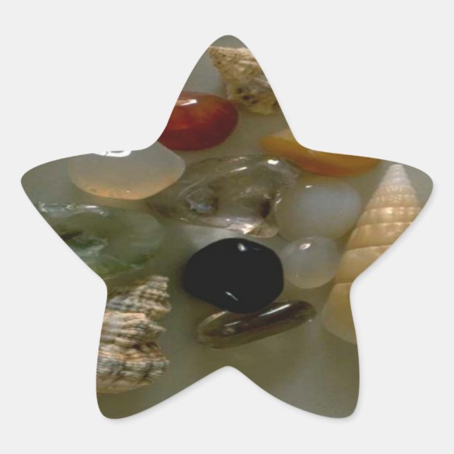 Seashells by the Seashore- Star Sticker (Front)