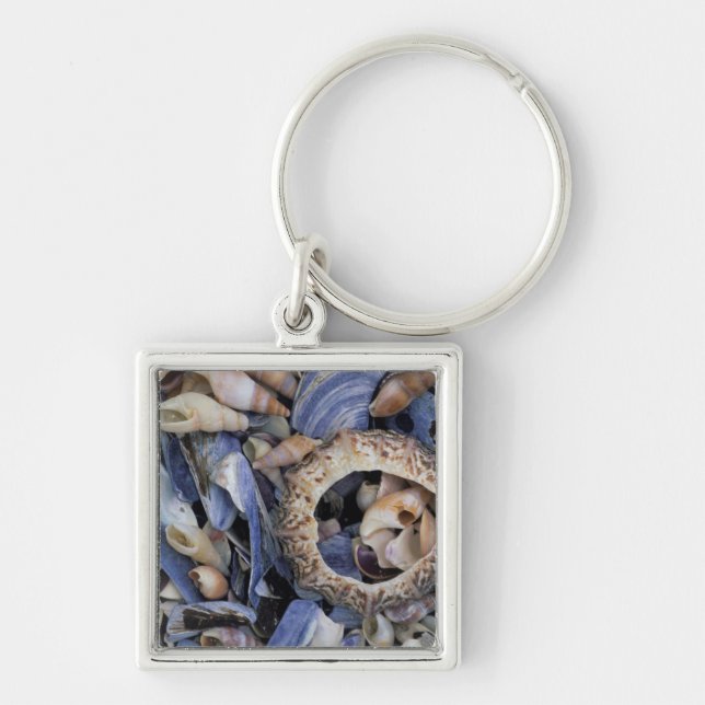 Seashells, Cape Town, Western Cape Key Ring (Front)