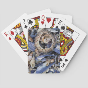Seashells, Cape Town, Western Cape Playing Cards