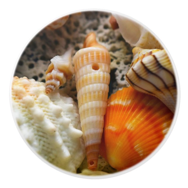 Seashells Ceramic Knob (Front)