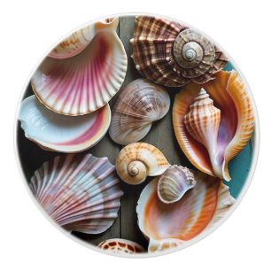 Seashells. Ceramic Knob