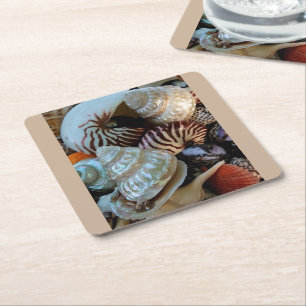 Seashells coasters