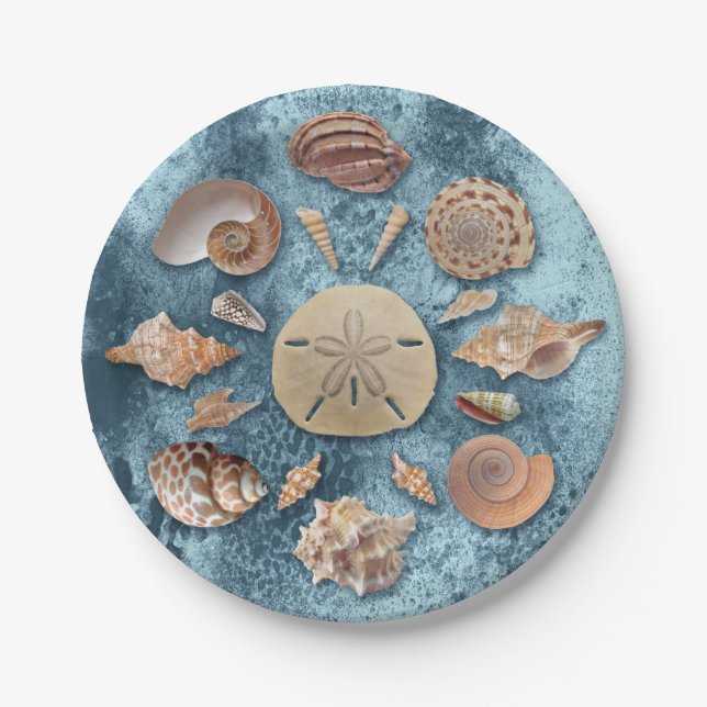 Seashells Collection  Paper Plate (Front)