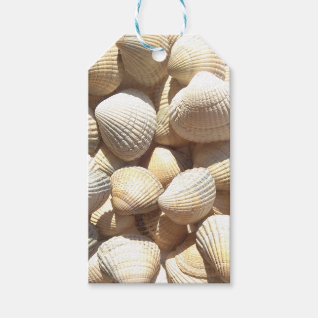 Seashells Collection Summer Beach Gift Tags (Front)