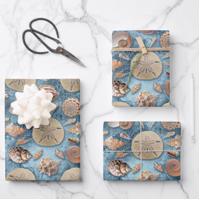 Seashells Collection Wrapping Paper Sheet (Front)