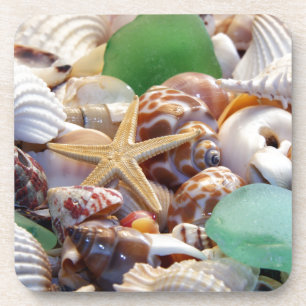 Seashells Cork Coaster