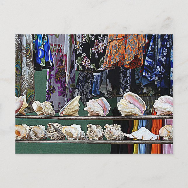 Seashells for Sale Postcard (Front)
