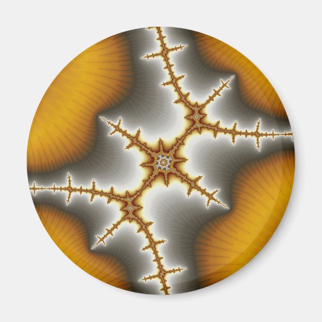 Seashells - Fractal Magnet (Front)