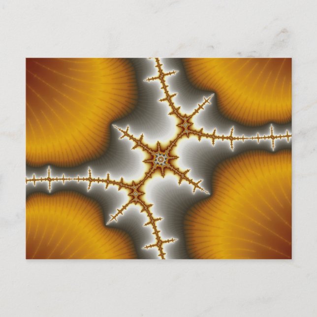 Seashells - Fractal Postcard (Front)