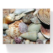 SEASHELLS GALORE PAPERWEIGHT