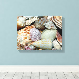 Seashells gathered up from beach Sanibel Island Fl Canvas Print