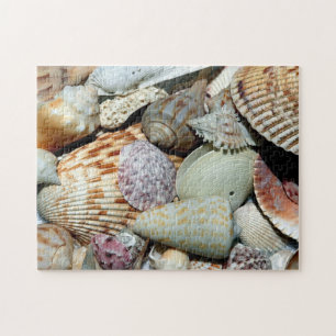 Seashells gathered up from beach Sanibel Island Fl Jigsaw Puzzle