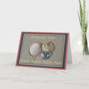 Seashells Greetings From IBSP Seaside Park NJ Card