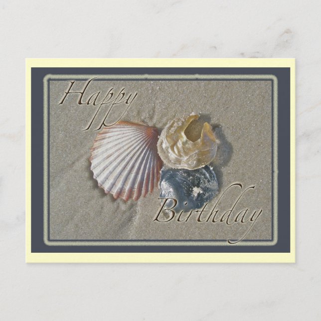 Seashells Happy Birthday Coordinating Items Postcard (Front)