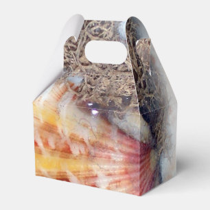 Seashells I Favour Box