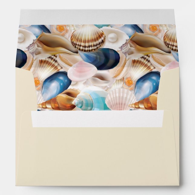 Seashells Illustrated Under the Sea Envelope (Back (Bottom))