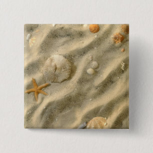 Seashells In Sand 15 Cm Square Badge
