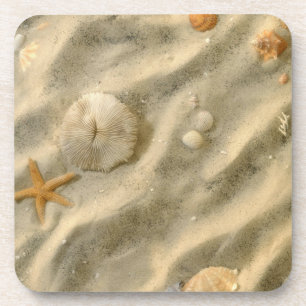 Seashells In Sand Coaster