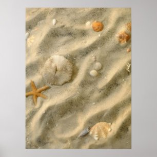 Seashells In Sand Poster