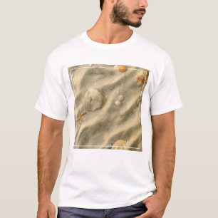 Seashells In Sand T-Shirt