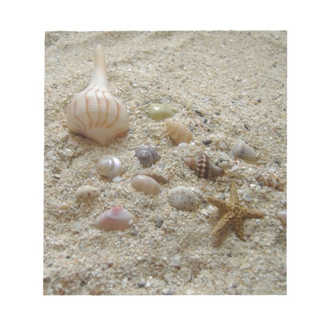 Seashells In The Sand Notepad (Front)