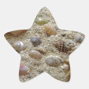 Seashells In The Sand Star Sticker