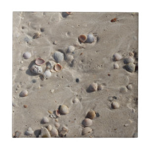 Seashells in the Wet Sand Tile