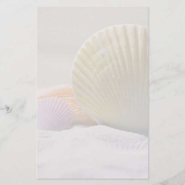 Seashells in White Sand Stationery (Front)