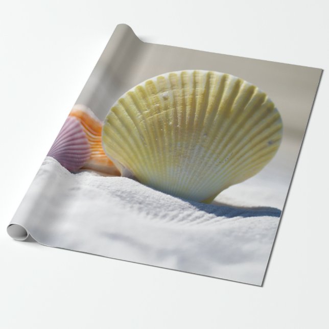 Seashells in White Sand Wrapping Paper (Unrolled)