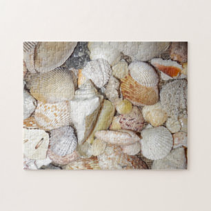 Seashells Jigsaw Puzzle