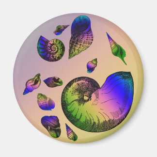 Seashells Magnet