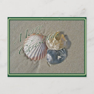 Seashells Merry Christmas Series Holiday Postcard