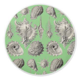 Seashells Nautical Beach Shells Mint Green White Ceramic Knob