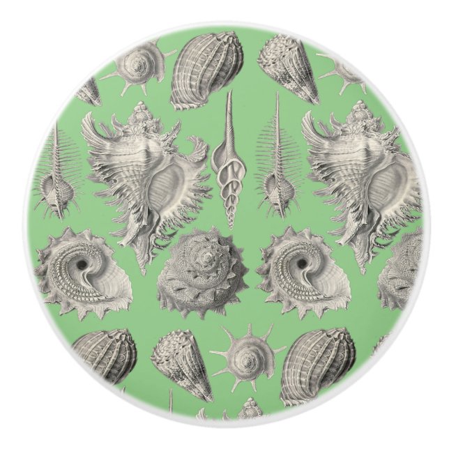 Seashells Nautical Beach Shells Mint Green White Ceramic Knob (Front)