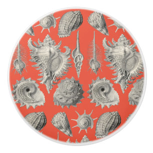 Seashells Nautical Beach Shells Peach White Ceramic Knob