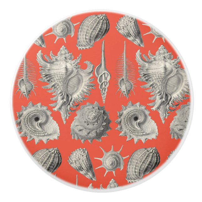Seashells Nautical Beach Shells Peach White Ceramic Knob (Front)