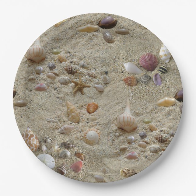Seashells Nestled in Beach Sand Paper Plate (Front)