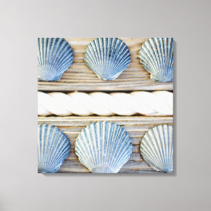 Seashells New York City Canvas Print