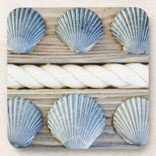 Seashells New York City Coaster