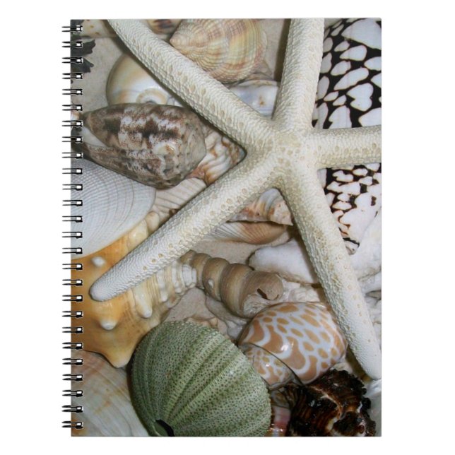 Seashells Notebook (Front)