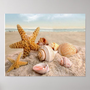 Seashells on a white sandy beach Poster