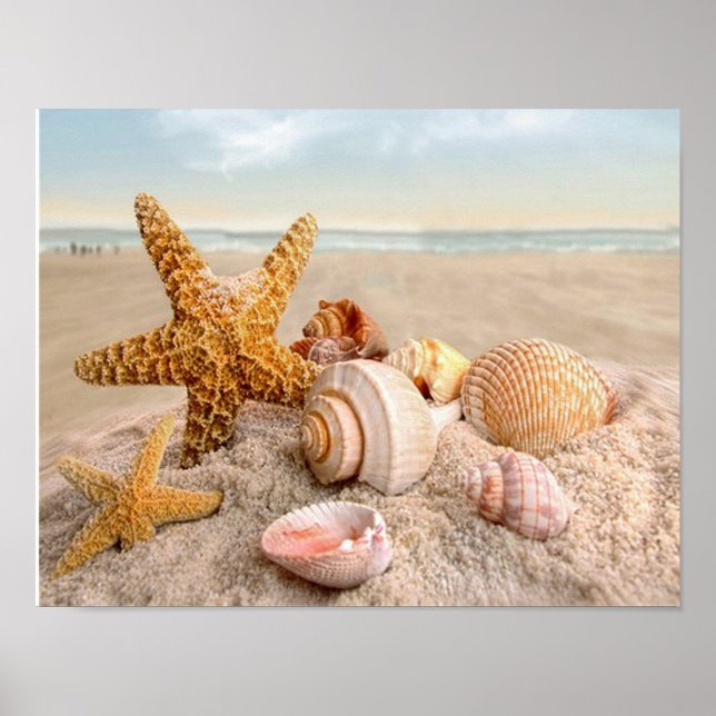 Seashells on a white sandy beach Poster (Front)